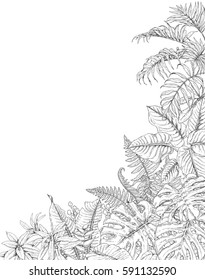 Hand drawn branches and leaves of tropical plants. Corner background with space for text. Monstera, fern, palm fronds sketch. Black and white illustration coloring page for adult.