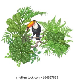 Hand drawn branches and leaves of tropical plants. Vivid  floral bunch  and  bird isolated on white.  Toucan sitting on liana branch. Vector sketch.