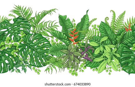 Hand drawn branches and leaves of tropical plants. Vivid  line horizontal floral pattern. Green  seamless border on white background. Vector sketch.