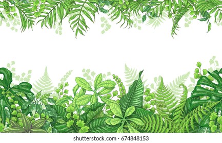 Hand drawn branches and leaves of tropical plants. Vivid line horizontal floral pattern. Green two-sided seamless border. Vector sketch.