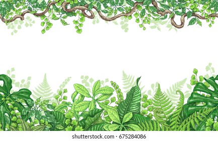 Hand drawn branches and leaves of tropical plants. Vivid line horizontal floral pattern. Green two-sided seamless border. Vector sketch.