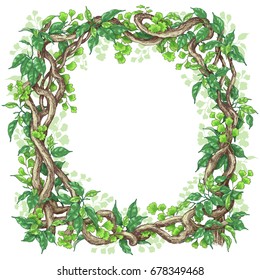 Hand drawn branches and leaves of tropical plants. Square frame made with green fern, ficus   and liana trunks.  Space for text. Vector sketch.