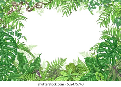 Hand drawn branches and leaves of tropical plants. Green rectangle horizontal floral frame with liana branches. Vector sketch. Space for text.