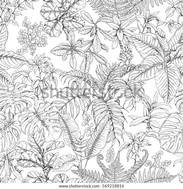 熱帯植物の手描きの枝と葉 白黒スケッチ花柄 白黒のシームレスなテクスチャー のベクター画像素材 ロイヤリティフリー