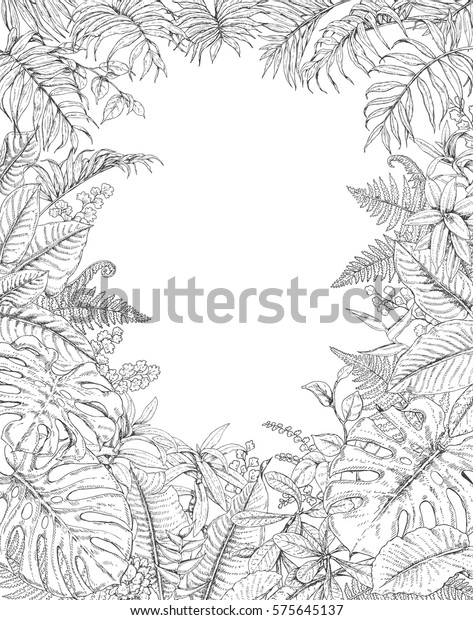 Hand Drawn Branches Leaves Tropical Plants Stock Vector (Royalty Free ...