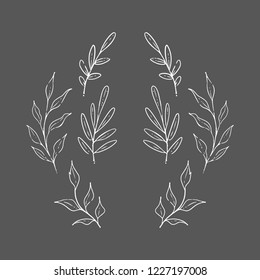 Hand drawn branches and leaves. Vector design elements. Nature vector illustration.