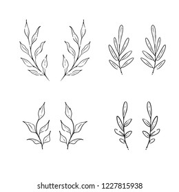 Hand drawn branches and leaves. Vector design elements. Nature vector illustration.