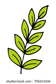 Hand drawn branches and leaves vector doodle illustration