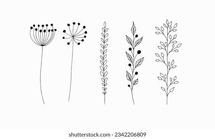 Hand drawn branches on the white background, doodle, plants