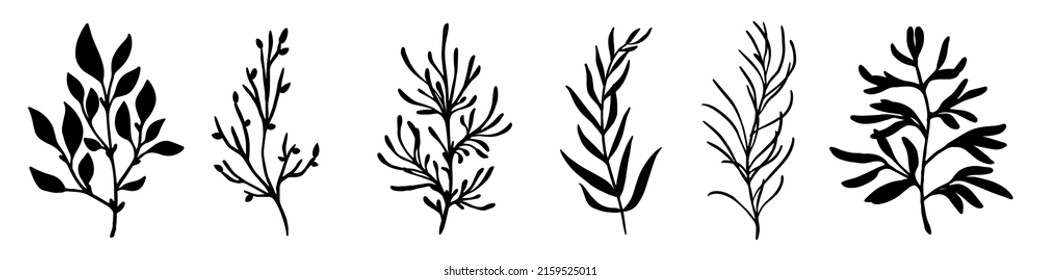 Hand drawn branches. Set of branches. Branch icon isolated. Vector illustration. Abstract branch with leaves.