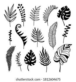 Hand drawn branches set of tropical plants leaves isolated on white background. Outline silhouette vector illustration. Design for pattern, logo, template, banner, posters, invitation, greeting card 