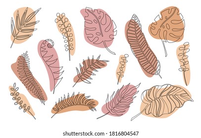 Ramas dibujadas a mano conjunto de hojas de plantas tropicales con forma de color aislado en fondo blanco. Ilustración vectorial del doodle de esquema. Diseño para el patrón, logotipo, carteles, invitación, tarjeta de saludo 