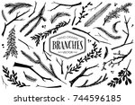 Hand drawn branches and twigs. Ink illustration.