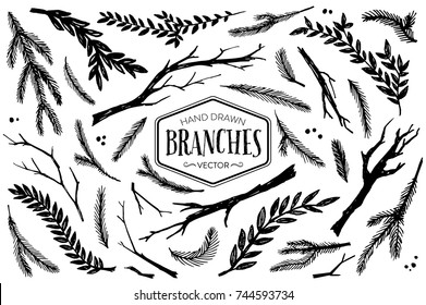 Hand drawn branches and twigs. Ink illustration.