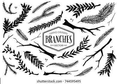 Hand drawn branches and twigs. Ink illustration.
