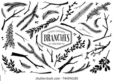 Hand drawn branches and twigs. Ink illustration.