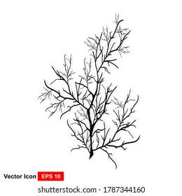 Hand drawn branches. Vector illustration