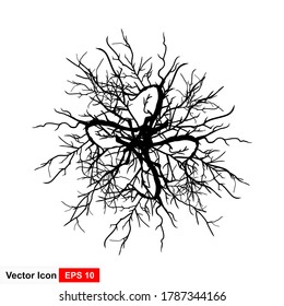 Hand drawn branches. Vector illustration