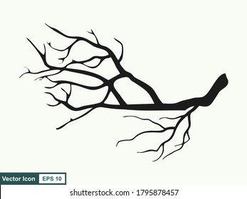 Hand drawn branches. Vector illustration