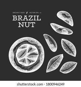 Hand drawn brazilian nut branch and kernels. Organic food vector illustration on chalk board. Retro nut illustration. Engraved style botanical picture.