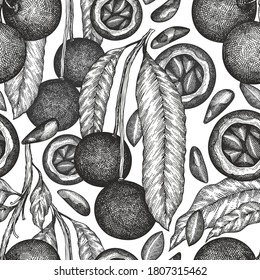 Hand drawn brazilian nut branch and kernels seamless pattern. Organic food vector illustration on white background. Retro nut illustration. Engraved style botanical background.