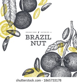 Hand drawn brazilian nut branch and kernels design template. Organic food vector illustration on white background. Retro nut illustration. Engraved style botanical banner.
