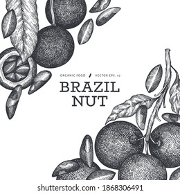 Plantilla de diseño de bifurcación de nueces y núcleos brasileños dibujada a mano. Ilustración vectorial de alimentos orgánicos sobre fondo blanco. Ilustración de tuerca retro. Banner botánico de estilo grabado.