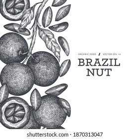 Hand drawn brazilian nut branch and kernels design template. Organic food vector illustration on white background. Retro nut illustration. Engraved style botanical banner.