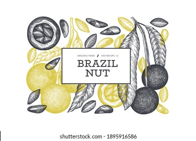 Hand drawn brazilian nut branch and kernels design template. Organic food vector illustration on white background. Retro nut illustration. Engraved style botanical banner.