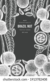 Hand drawn brazilian nut branch and kernels design template. Organic food vector illustration on chalk board. Retro nut illustration. Engraved style botanical banner.