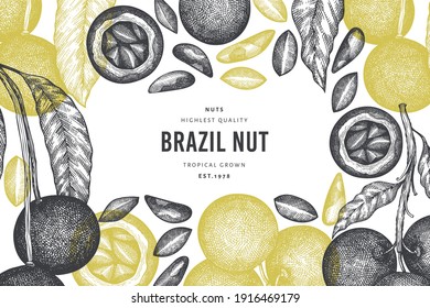 Hand drawn brazilian nut branch and kernels design template. Organic food vector illustration on white background. Retro nut illustration. Engraved style botanical banner.