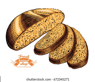 Hand drawn bread bakery in engraving style. Cut slices. Bread bakery fresh food collection. Vector illustration. Colored elements isolated on white background.