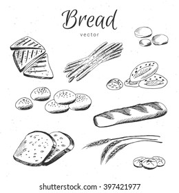 Hand drawn bread. Buns, toast, breadsticks, corn, wheat, biscuits, bread