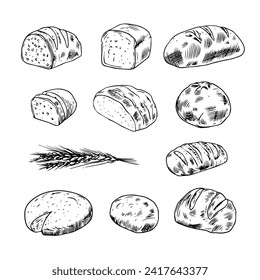 Hand drawn bread collection with loaves, buns, croissant and wheat. Black and white bakery vector illustration for bread shop, restaurant menu, packaging and food design.