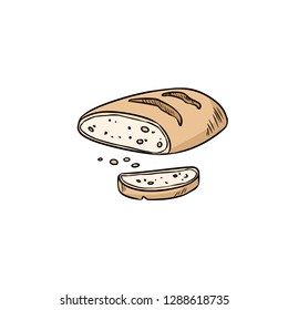 Hand drawn bread doodle. Organic ecological food vector image