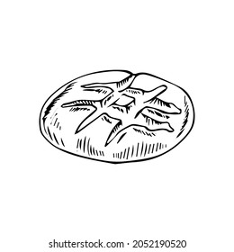 Hand drawn bread doodle. Organic ecological food vector image