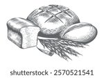 Hand drawn bread products and wheat ears. Baked goods in engraving style isolated vector illustration