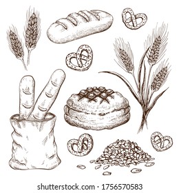 hand drawn breads set isolated on white. vector vintage illustration of variety bread like french baguette, round rustic bread, wheat loaf, rye or wheat ears, grains and pretzels engraved collection