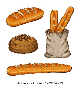 hand drawn breads set isolated on white. vector vintage illustration of variety bread like french baguette, round rustic bread, wheat long loaf, bread in bag. doodle color sketch icons of bakery goods