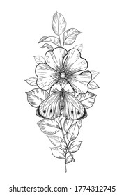 Hand drawn briar branch and butterfly isolated on blank background. Black and white single flower and moth. Vector monochrome elegant floral composition in vintage style, tattoo design, coloring page.