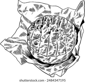 Hand drawn Brie Cheese or Camembert Cheese Sketch Illustration