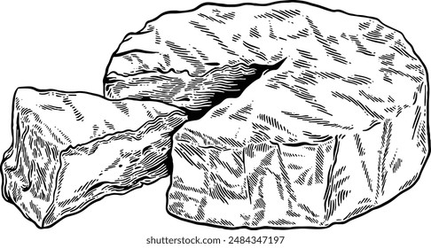 Hand drawn Brie Cheese or Camembert Cheese Sketch Illustration