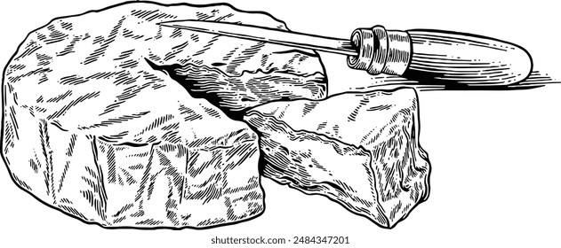 Hand drawn Brie Cheese or Camembert Cheese Sketch Illustration