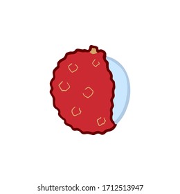 Hand drawn bright color icon of lychees fruit isolated on white background. Sweet tropical fruit. Simple minimal flat style. Logo design. Vector illustration