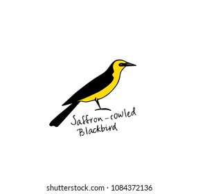 Hand drawn bright tropical bird made in vector. Beautiful animal design element, ink drawing, logo template