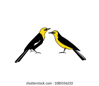Hand drawn bright tropical birds made in vector. Beautiful animal design element, ink drawing, logo template