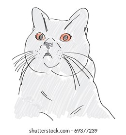 Hand drawn british blue cat