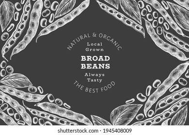 Hand drawn broad beans design template. Organic fresh food vector illustration on chalk board. Retro pods illustration. Engraved botanical style cereal background.