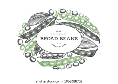 Hand drawn broad beans design template. Organic fresh food vector illustration. Retro pods illustration. Engraved botanical style cereal background.