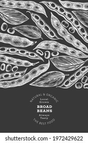 Hand drawn broad beans design template. Organic fresh food vector illustration on chalk board. Retro pods illustration. Botanical style cereal background.